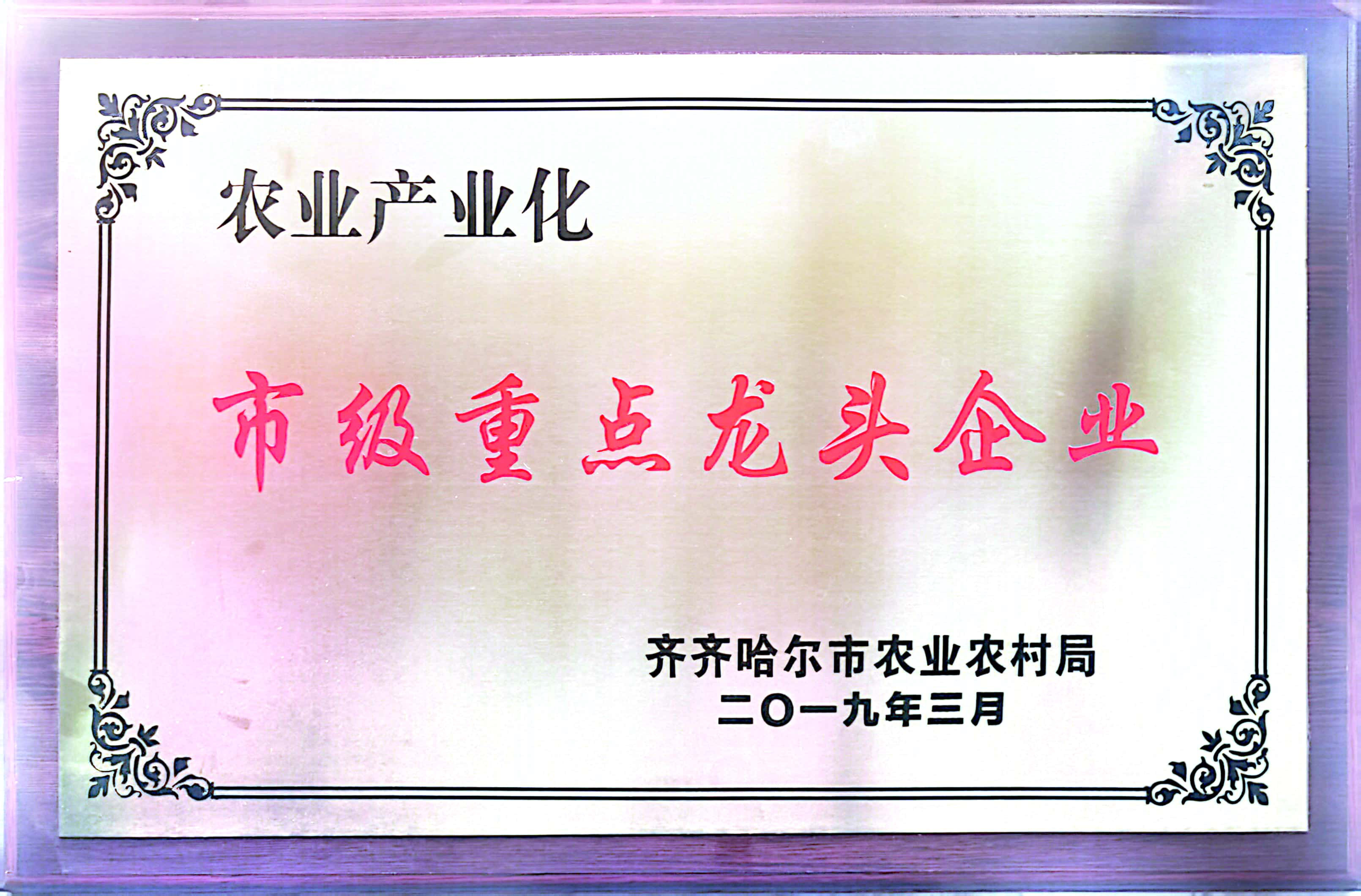 I(y)su